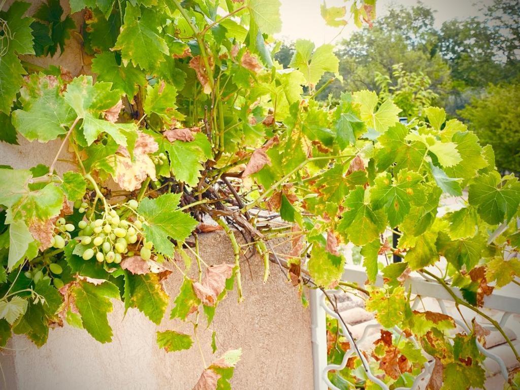 La Villa des Ames Liées Draguignan Exterior foto